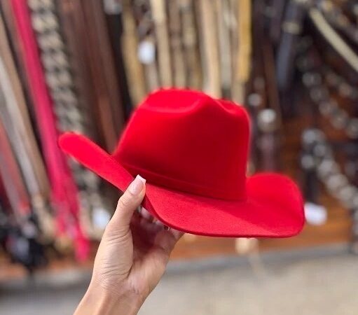 Guia de looks com chapéu country feminino para diferentes ocasiões